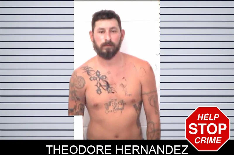 Theodore Hernandez mugshot