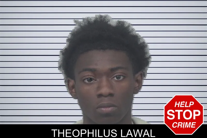 Theophilus Lawal mugshot – Gwinnett County , Georgia Theophilus Lawal mugshot