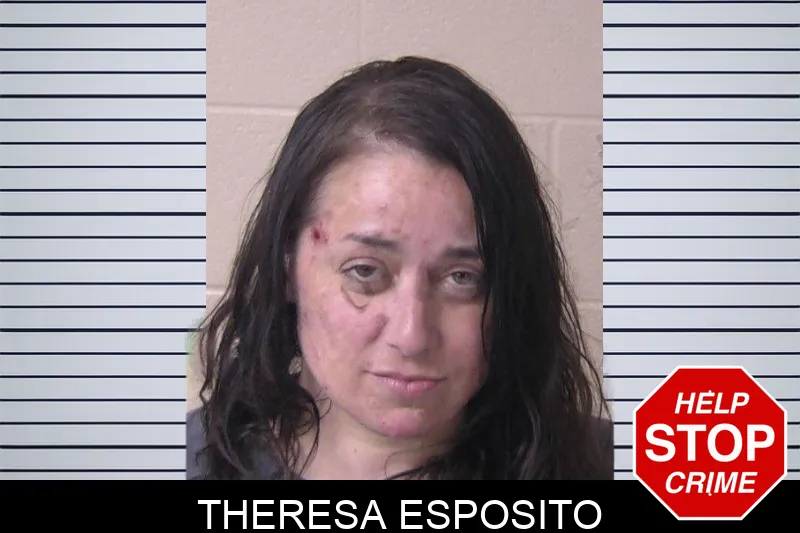 Theresa Esposito mugshot