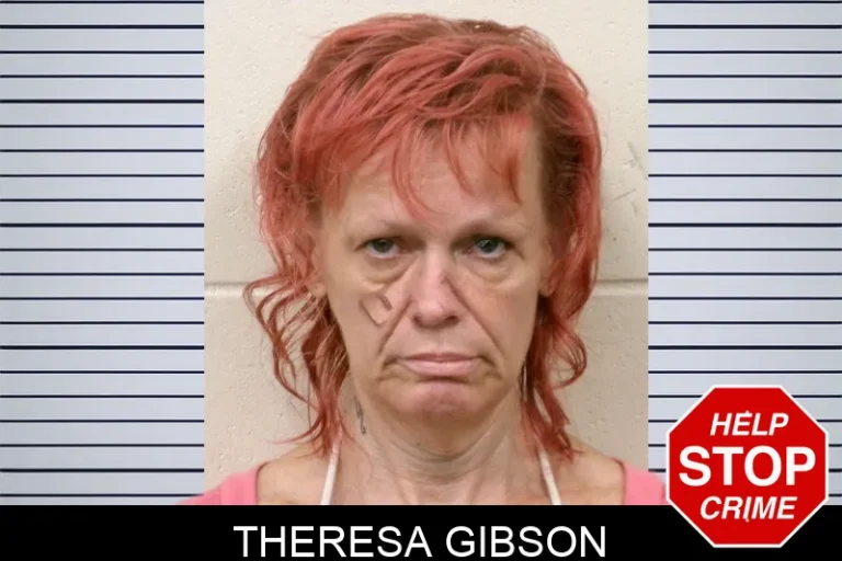 Theresa Gibson mugshot – Bulloch County , Georgia Theresa Gibson