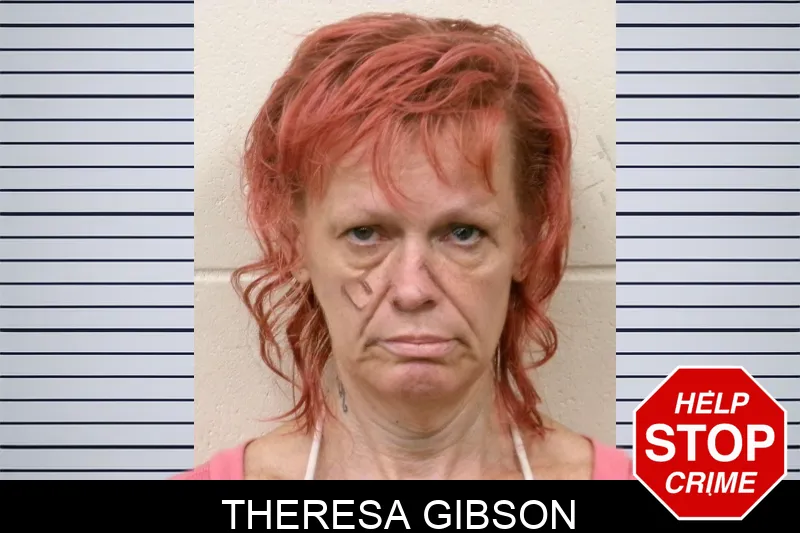 Theresa Gibson mugshot
