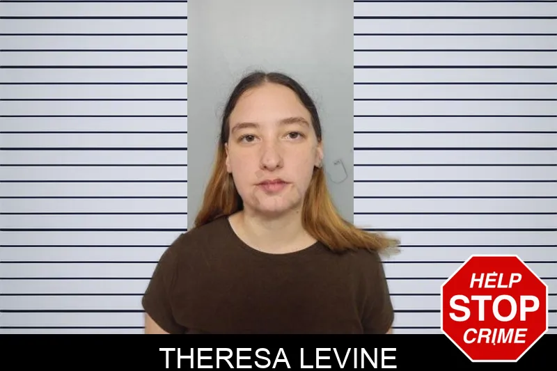Theresa Levine mugshot