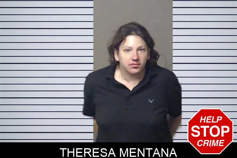 Theresa Mentana mugshot