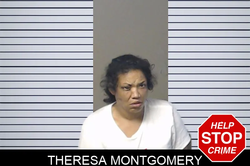Theresa Montgomery mugshot