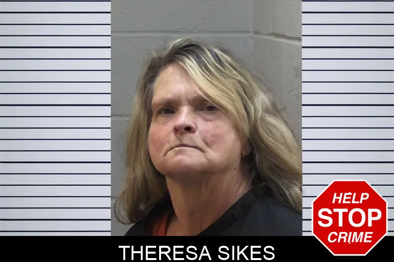 Theresa Sikes mugshot