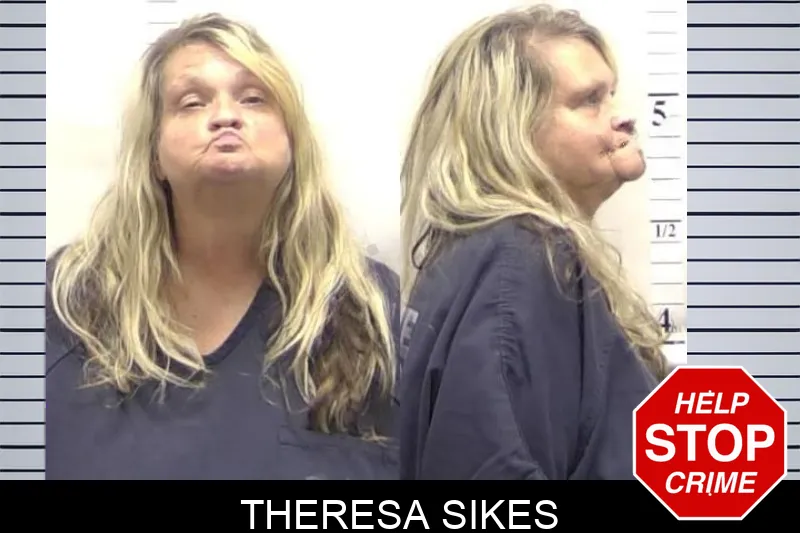 Theresa Sikes mugshot