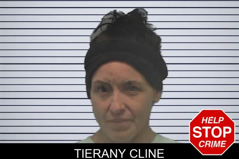 Tierany Cline mugshot – Ware County , Georgia Tierany Cline