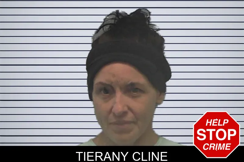 Tierany Cline mugshot