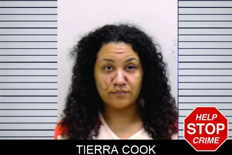Tierra Cook mugshot – Bartow County , Georgia Tierra Cook