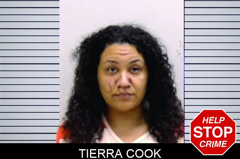 Tierra Cook mugshot