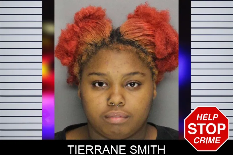 Tierrane Smith mugshot