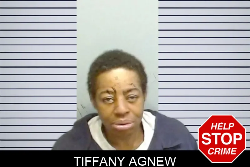 Tiffany Agnew mugshot – Fulton County , Georgia Tiffany Agnew mugshot