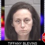 Tiffany Blevins mugshot