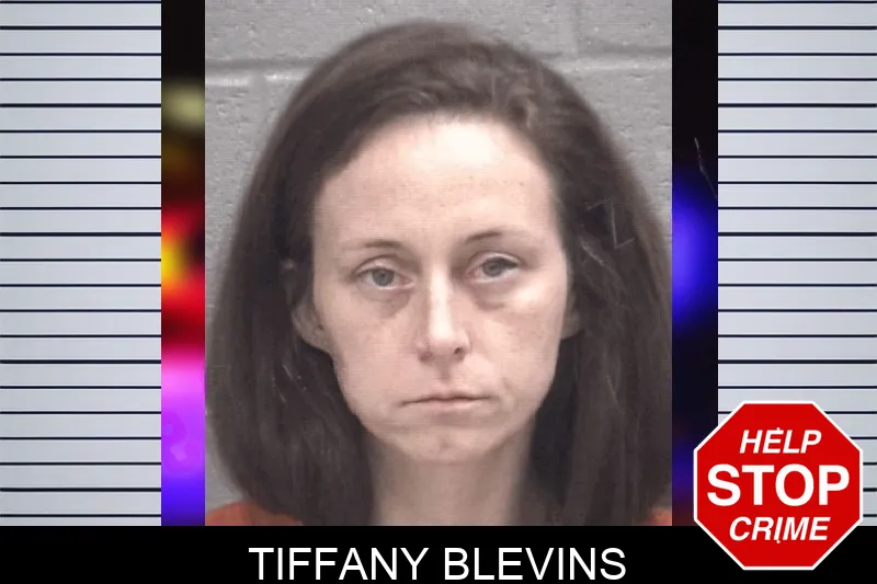 Tiffany Blevins mugshot