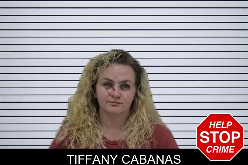 Tiffany Cabanas mugshot