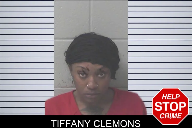 Tiffany Clemons mugshot