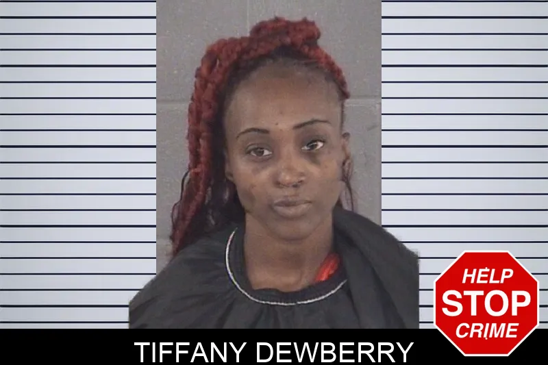 Tiffany Dewberry mugshot – Spalding County , Georgia Tiffany Dewberry mugshot