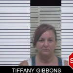 Tiffany Gibbons mugshot