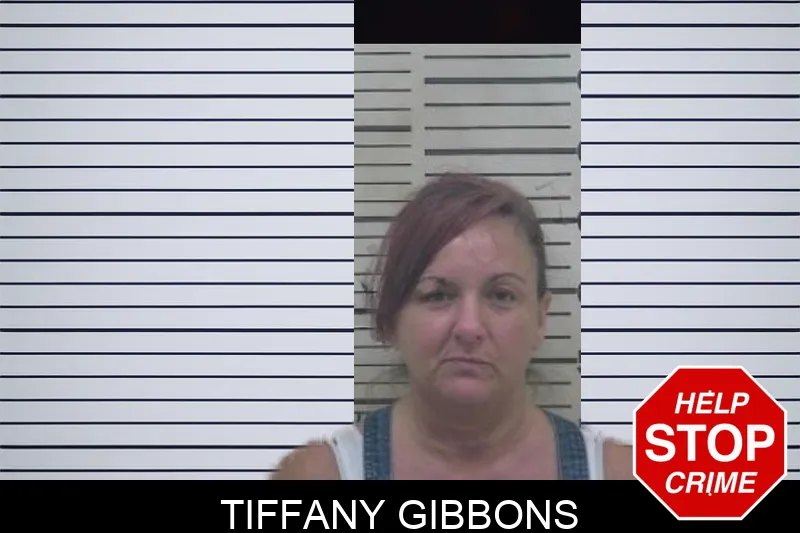 Tiffany Gibbons mugshot