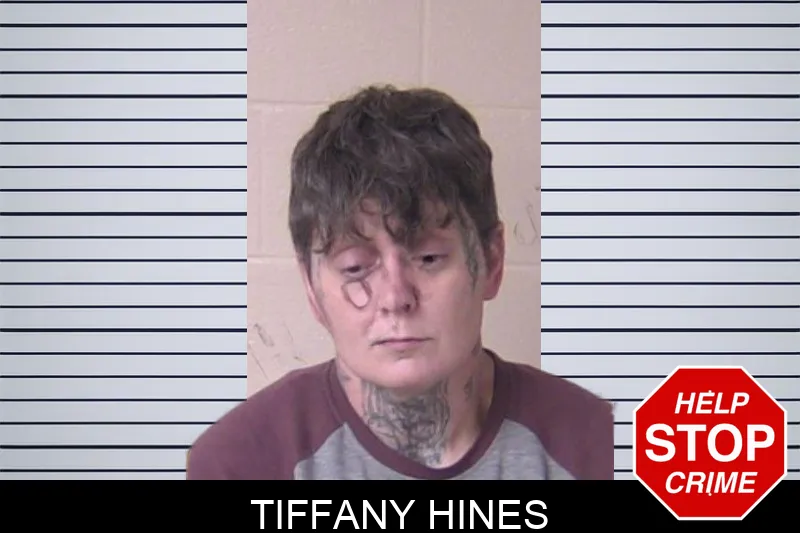Tiffany Hines mugshot