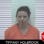 Tiffany Holbrook mugshot