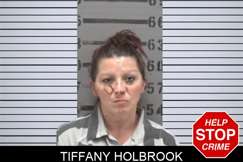Tiffany Holbrook mugshot – Dougherty County , Georgia Tiffany Holbrook mugshot