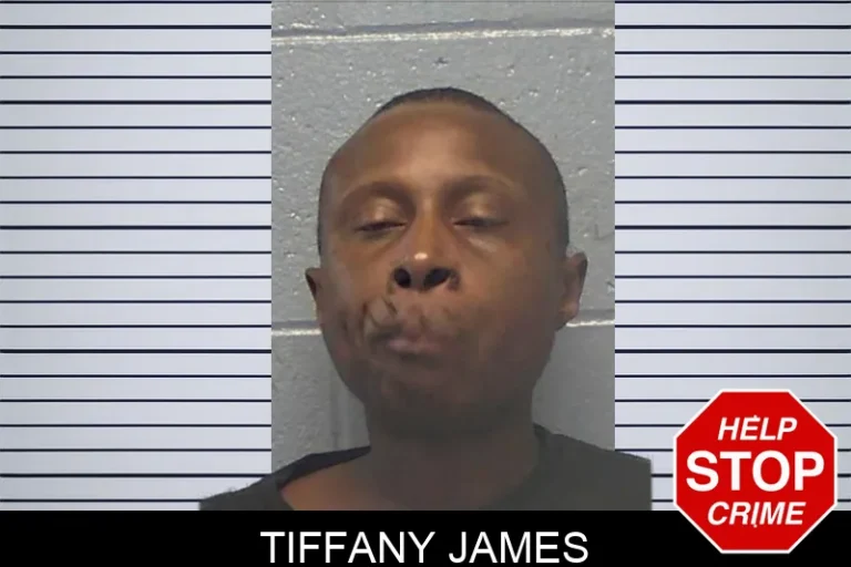 Tiffany James mugshot – Ware County , Georgia Tiffany James