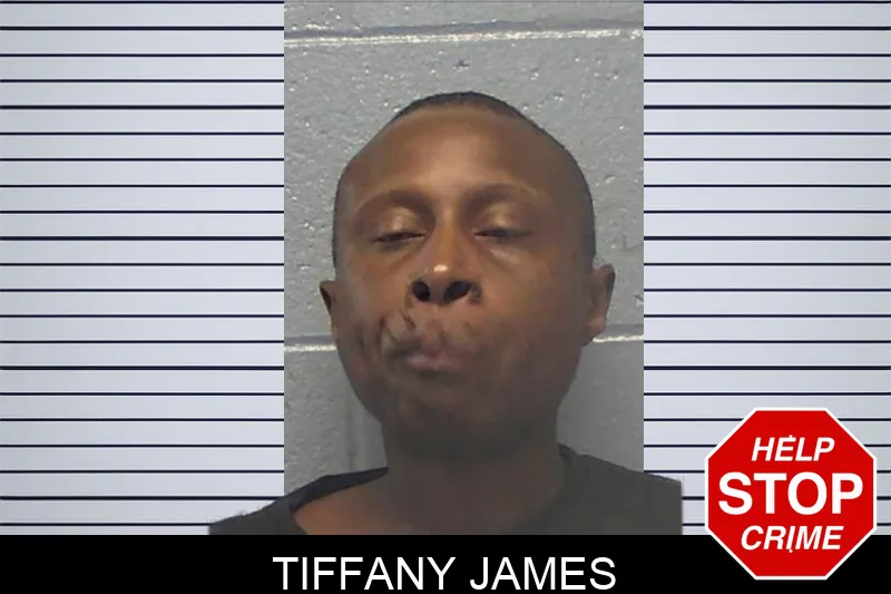Tiffany James mugshot