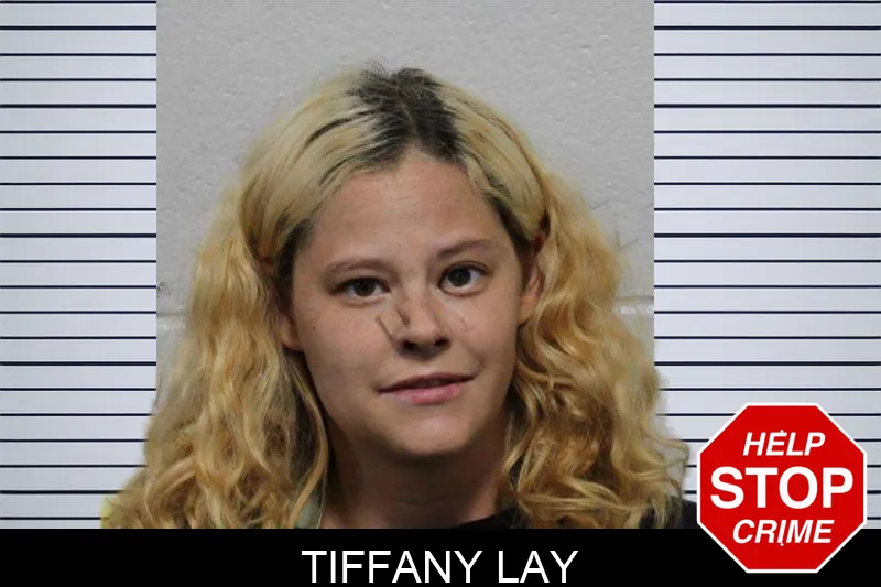 Tiffany Lay mugshot