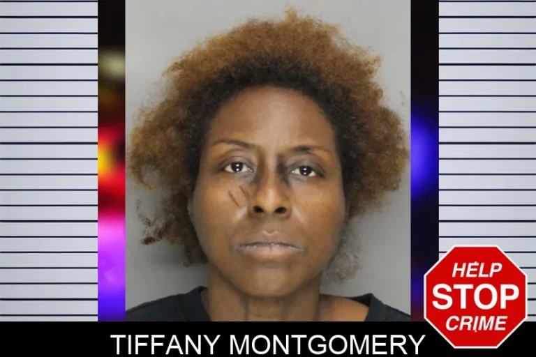Tiffany Montgomery mugshot – Cobb County , Georgia Tiffany Montgomery