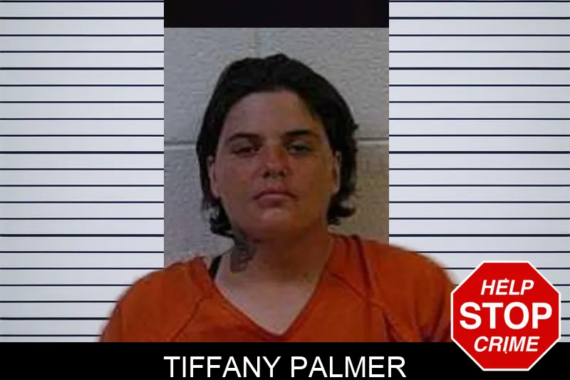Tiffany Palmer mugshot