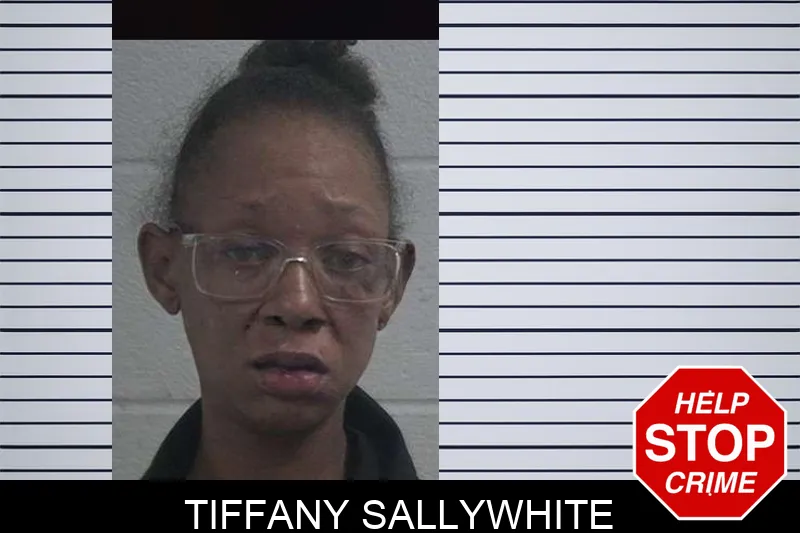Tiffany Sallywhite mugshot