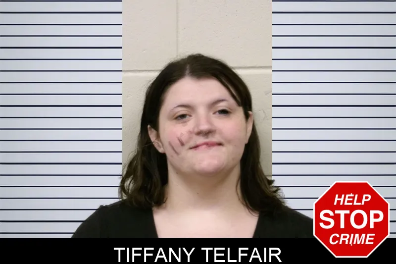 Tiffany Telfair mugshot – Bulloch County , Georgia Tiffany Telfair mugshot