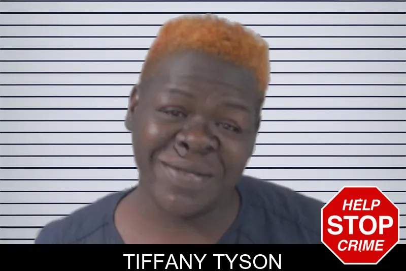 Tiffany Tyson mugshot