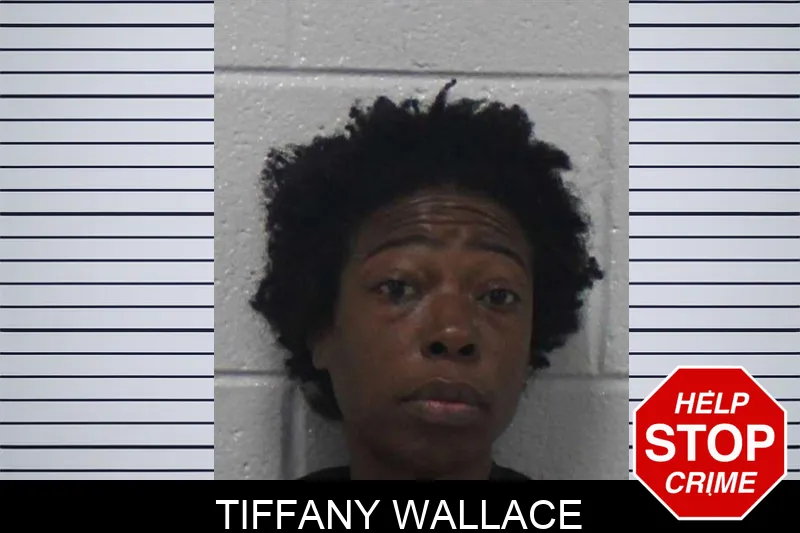 Tiffany Wallace mugshot