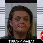Tiffany Wheat mugshot – Polk County , Georgia Tiffany Wheat mugshot