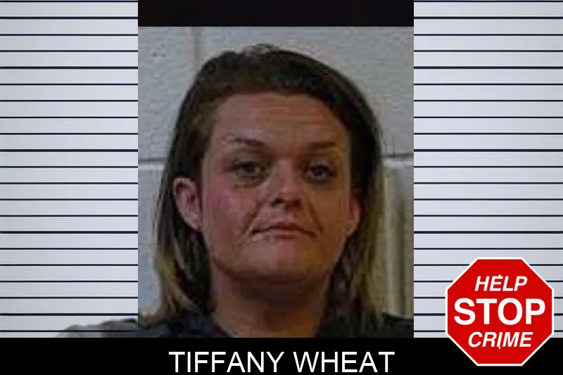 Tiffany Wheat mugshot