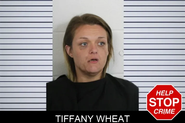 Tiffany Wheat mugshot – Floyd County , Georgia Tiffany Wheat