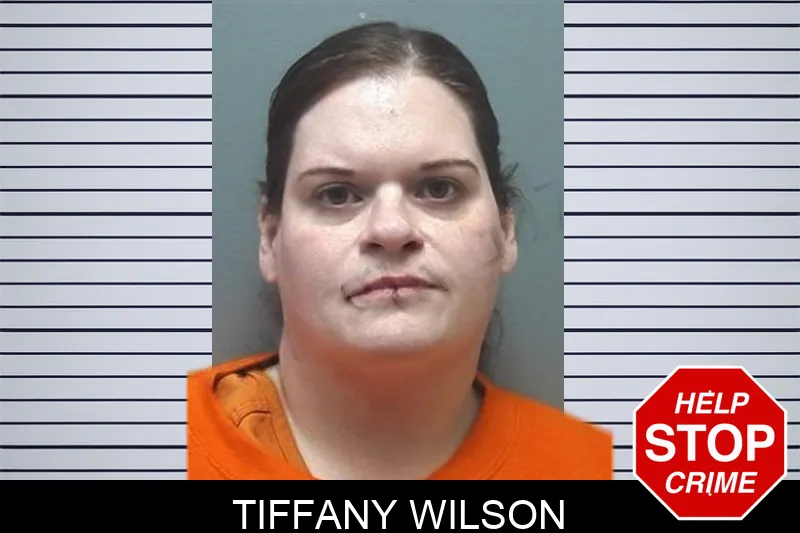 Tiffany Wilson mugshot – Cherokee County , Georgia Tiffany Wilson mugshot