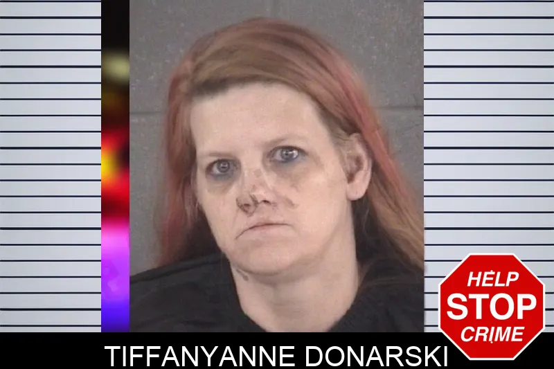 Tiffanyanne Donarski mugshot