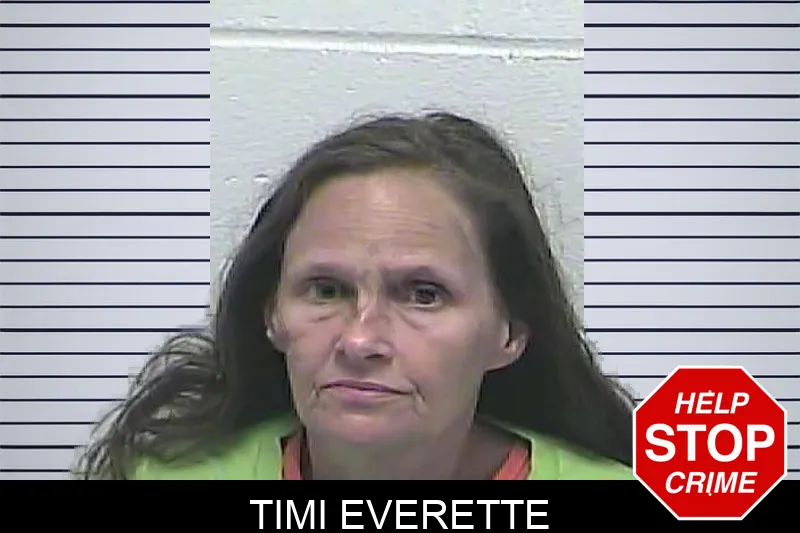 Timi Everette mugshot – Dawson County , Georgia Timi Everette mugshot