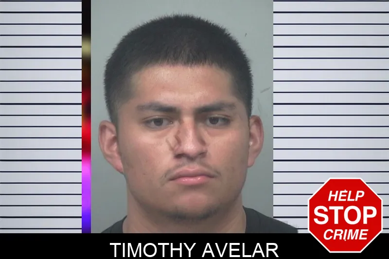 Timothy Avelar mugshot