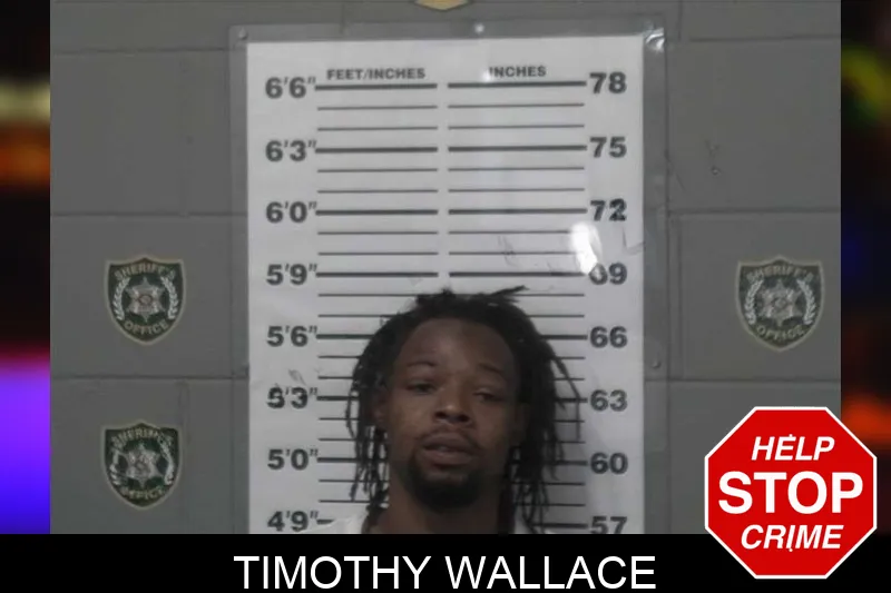 Timothy Wallace mugshot