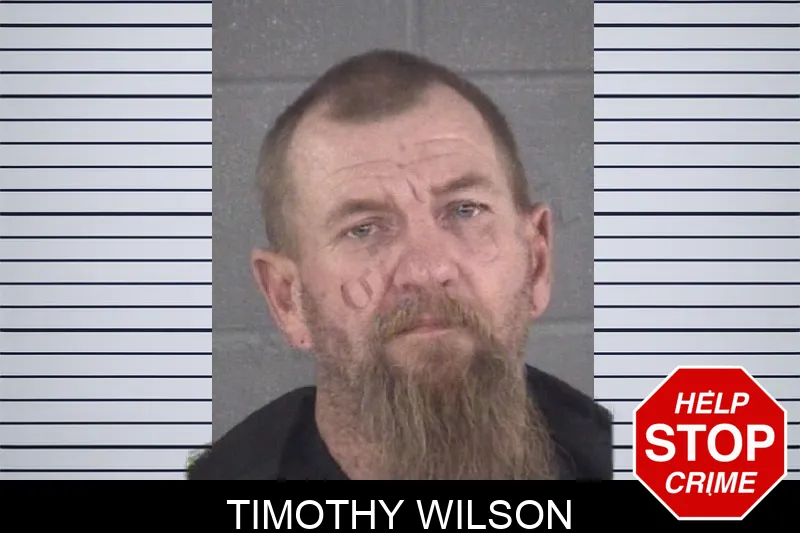 Timothy Wilson mugshot