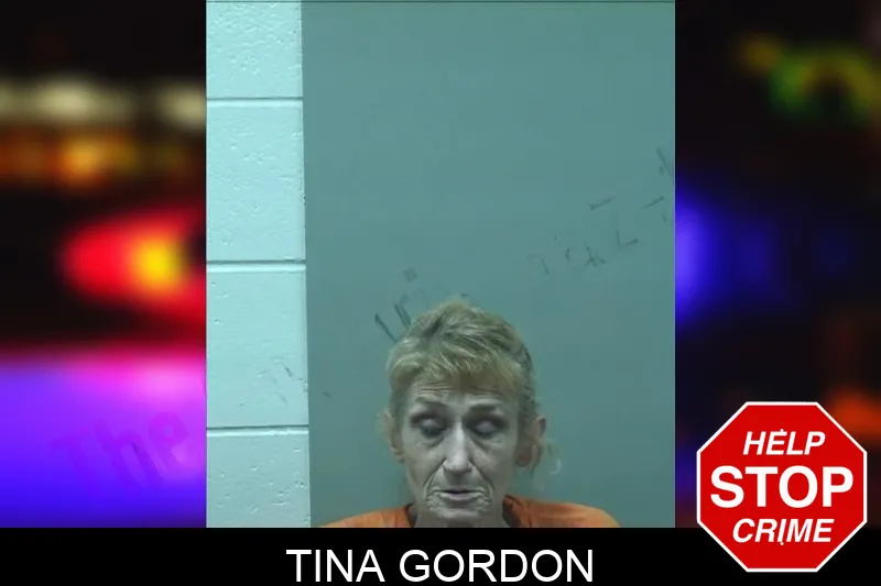 Tina Gordon mugshot