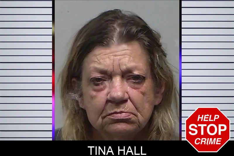 Tina Hall mugshot – Tift County , Georgia Tina Hall mugshot