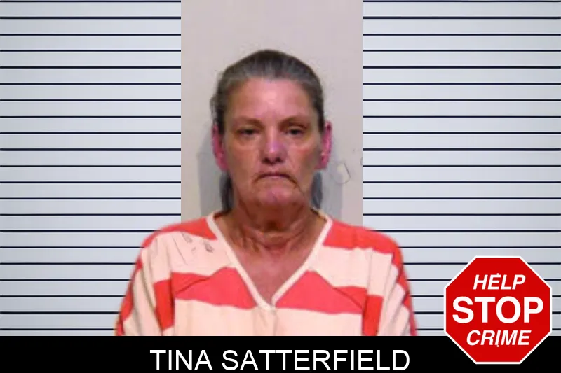 Tina Satterfield mugshot – Bartow County , Georgia Tina Satterfield mugshot