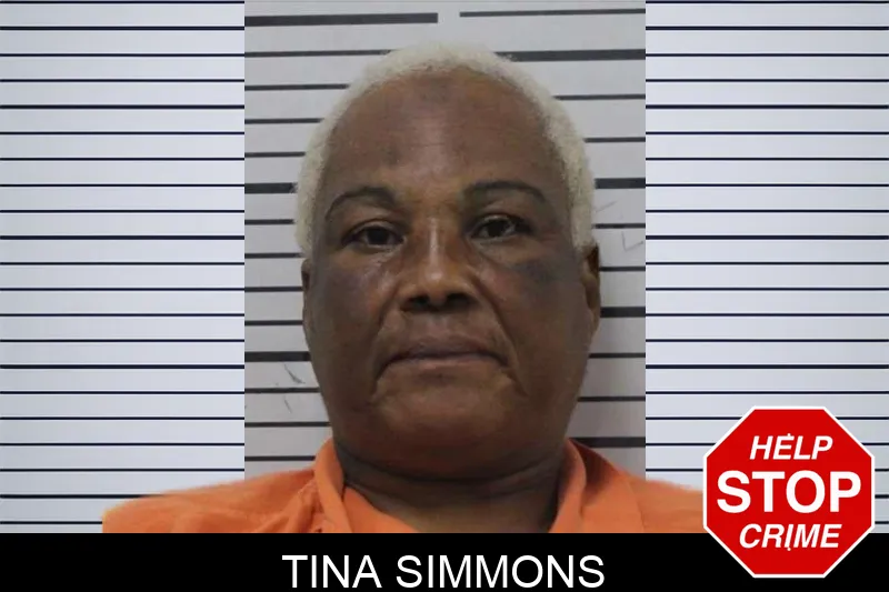 Tina Simmons mugshot