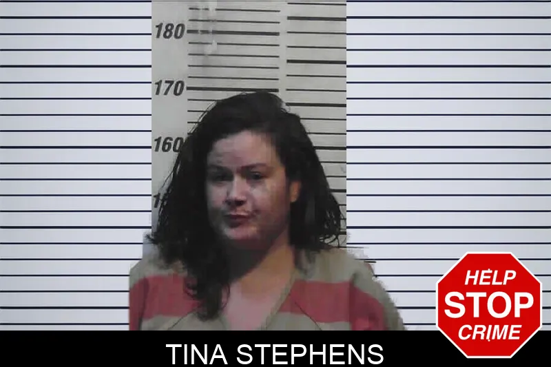 Tina Stephens mugshot