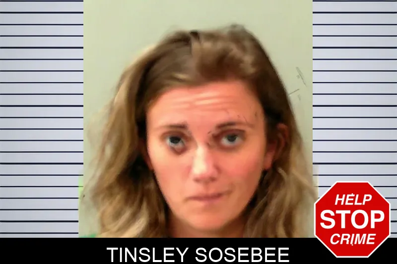 Tinsley Sosebee mugshot